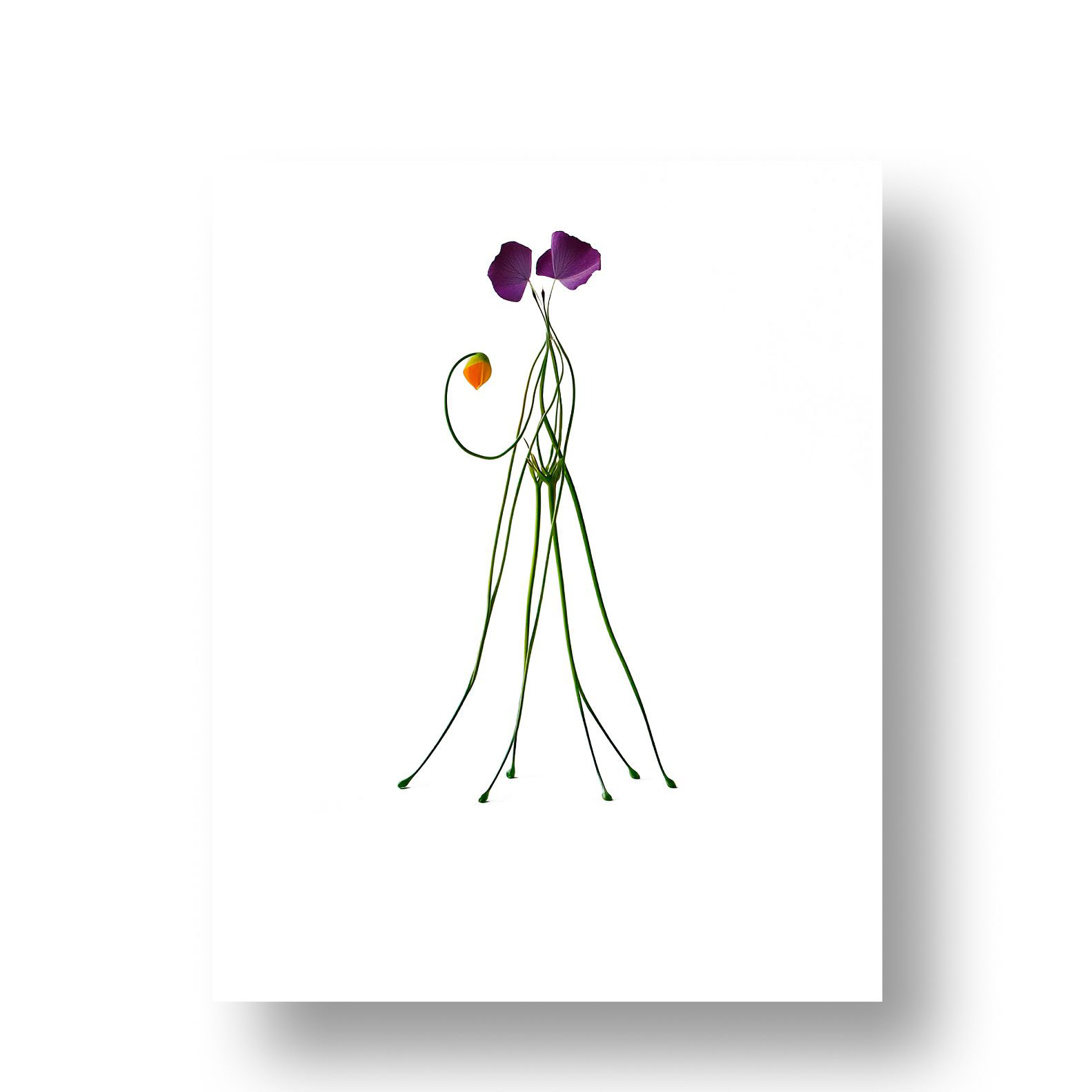 Mantis - 2 de 6