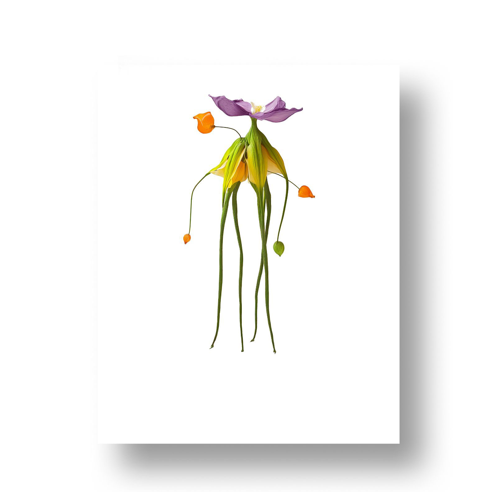Mantis - 4 de 6