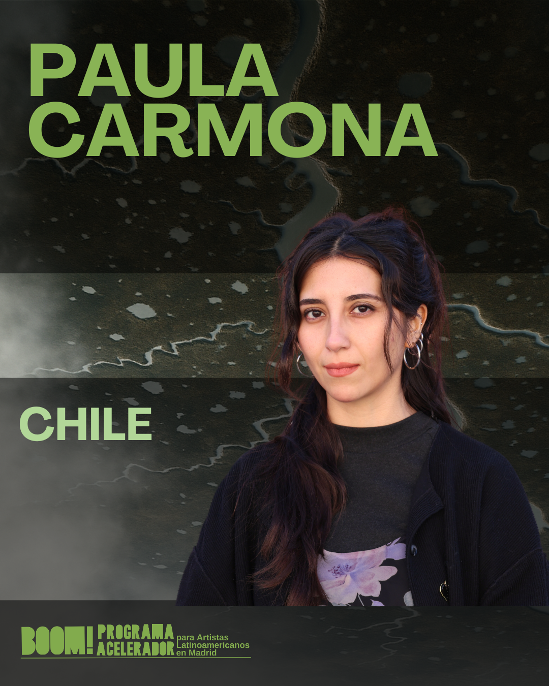 Artistas seleccionados PAAL